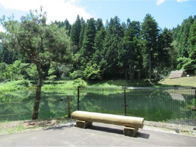 ベンチ