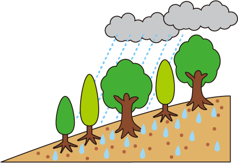 大雨による土砂くずれ